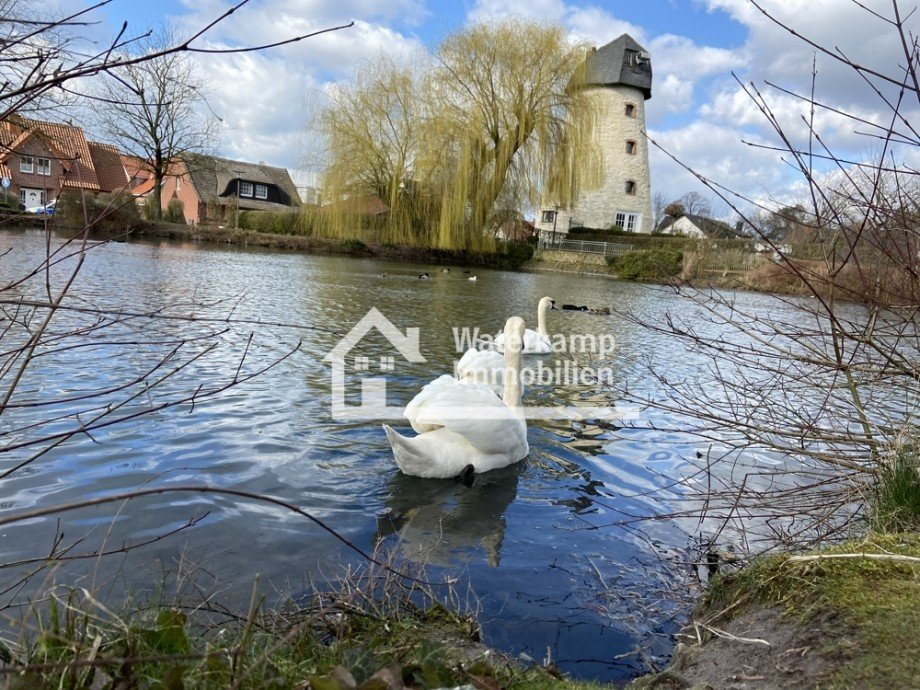Teich in Laer Etagenwohnung Laer