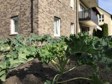 Gemeinschaftsgarten Angenehmes Wohnen in bester Lage vom Zentrum in Nordwalde