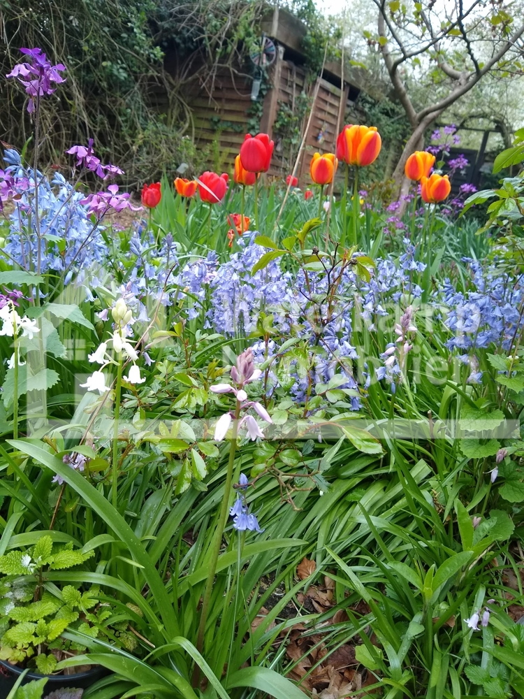 Impressionen Einfamilienhaus Nordwalde