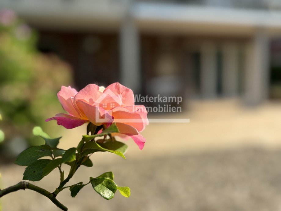 Impressionen Erdgeschosswohnung M�nster