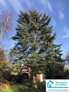 Garten mit Baumbestand Wohn- und Gesch�ftshaus oder Mehrfamilienhaus zentral in Nordwalde