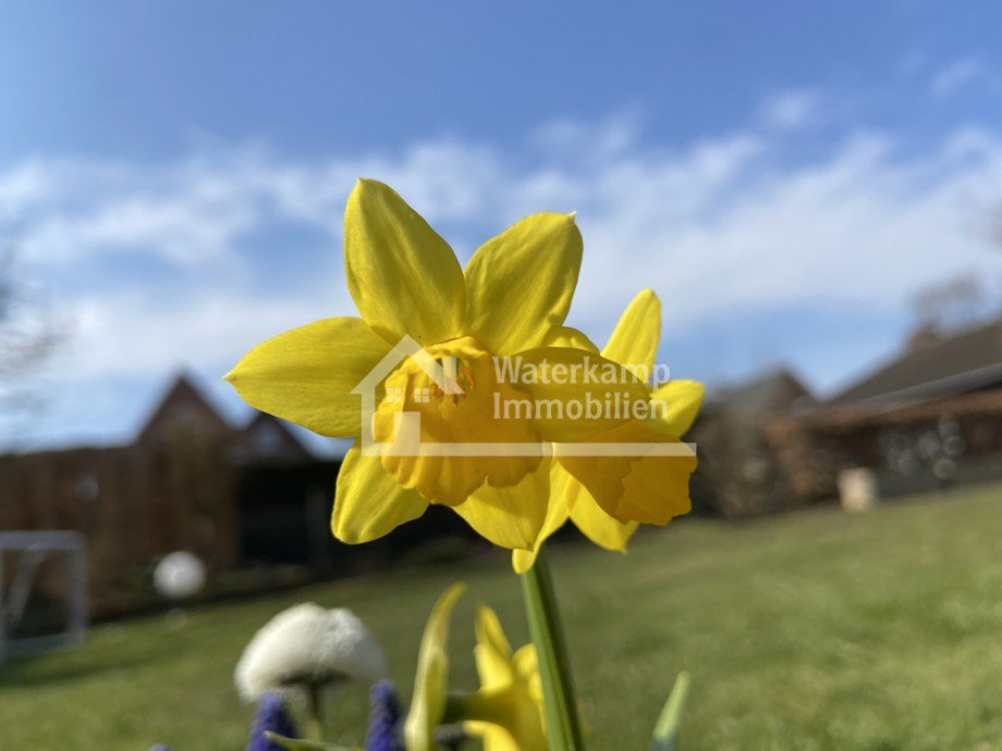 Impressionen Einfamilienhaus Nordwalde