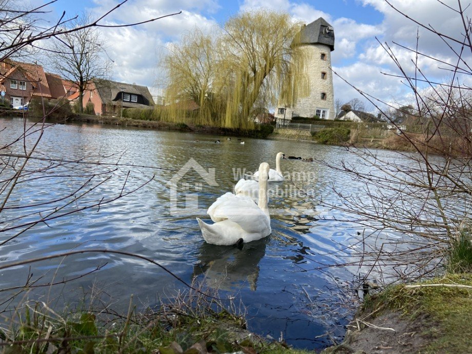 Teich in Laer Etagenwohnung Laer