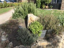 Gemeinschaftsgarten Angenehmes Wohnen in bester Lage vom Zentrum in Nordwalde