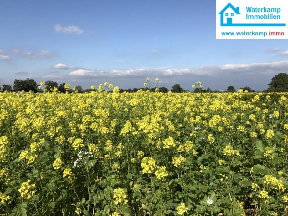 Rund um Nordwalde Etagenwohnung Nordwalde