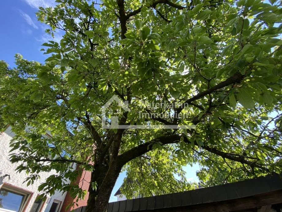 Garten Doppelhaush�lfte Steinfurt-Borghorst