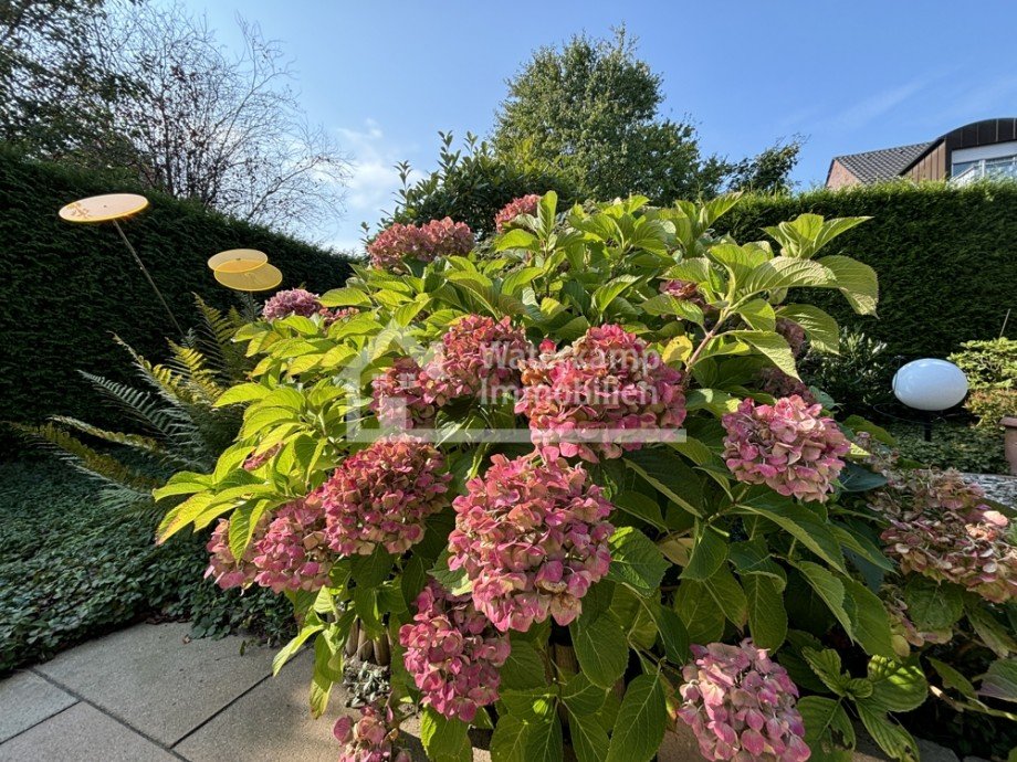 Impressionen Erdgeschosswohnung M�nster
